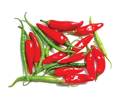 LONG PEPPER